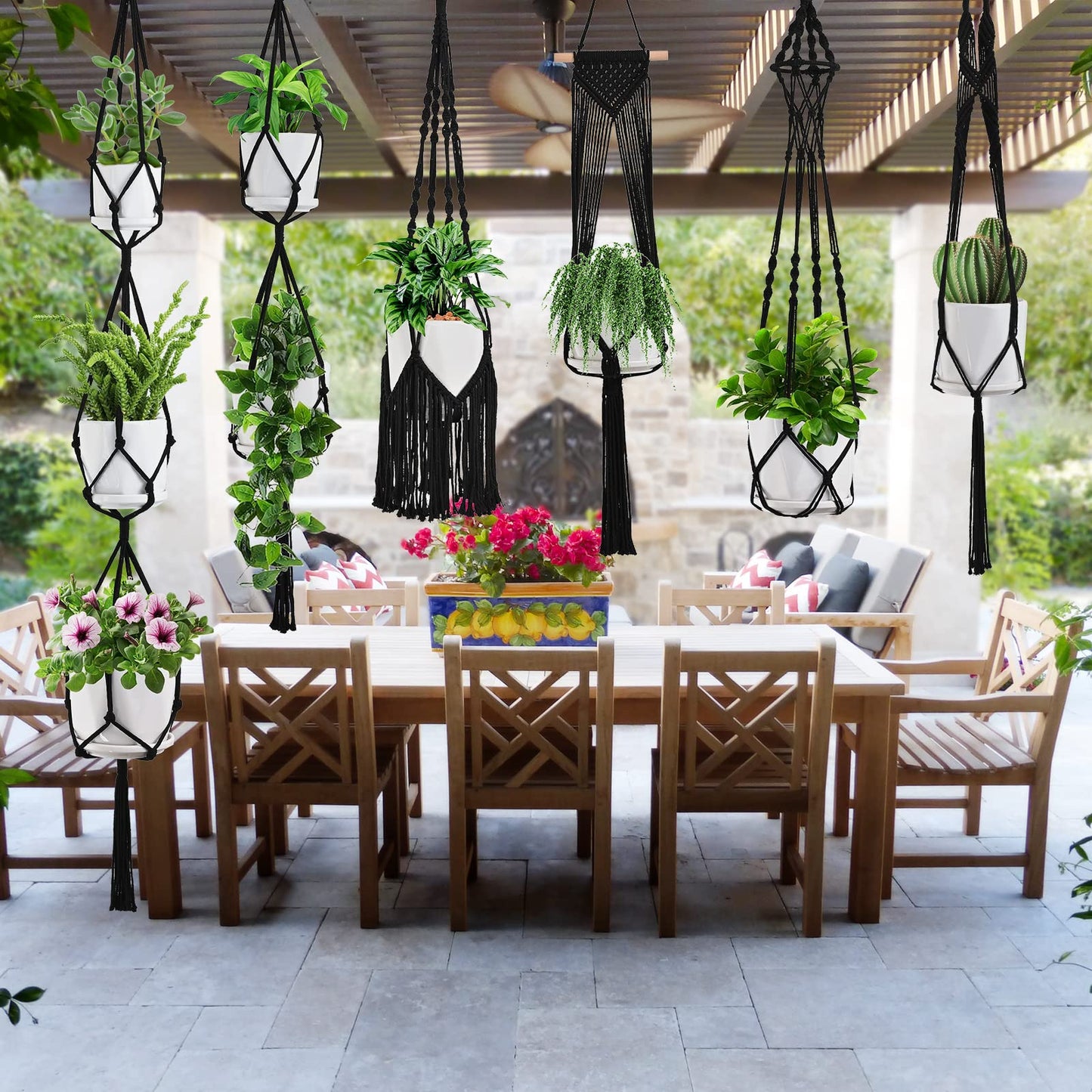 Macramé Plant Hanger Set – Black Cotton 6-Piece Bundle with Hooks